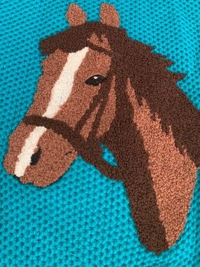 Cotton Rye Teal Green Horse Graphic Embroidered Equestrian Sweater Girls L/10